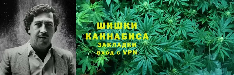 Бошки марихуана THC 21%  KRAKEN как войти  Мензелинск 